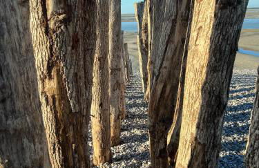 Les Petites Canailles Rooftop - Foto 39