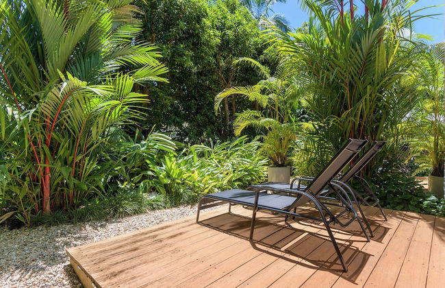 Port Douglas Apartments - Adults Only Oasis - Foto 26