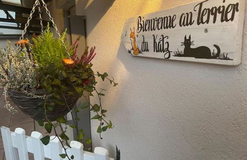 Le Terrier du Katz - Photo 18