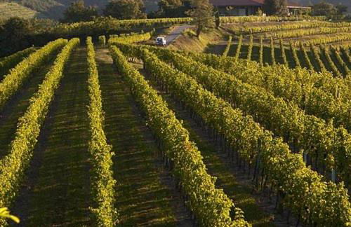 Nel borgo di Zia Alma - Foto 33