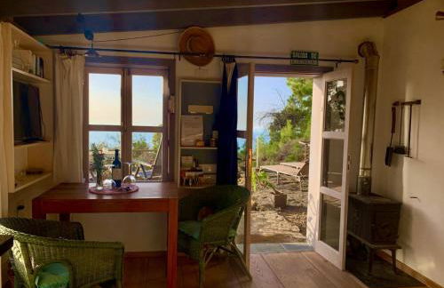 Tiny House Vogelnest - Foto 20