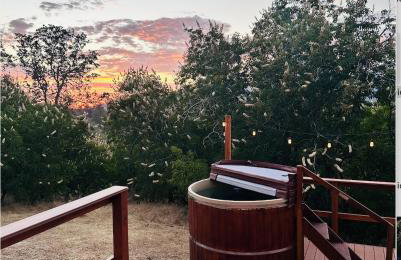 Modern House on 5 acr in Sequoia National Forest - Foto 19