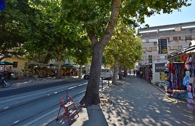 Apartment Petea - Foto 53