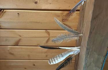 Cozy Cabin Escape Hot Tub & Lake Access - Foto 41