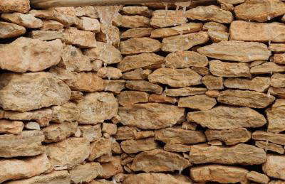 Finca Luz de Alba - Foto 9