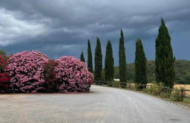 Ghiaccio Bosco - Foto 13