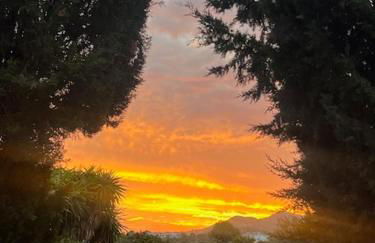 Casa Pipa Alhaurín el Grande - vrijstaande casita met privé zwembad en grote tuin - Photo 14