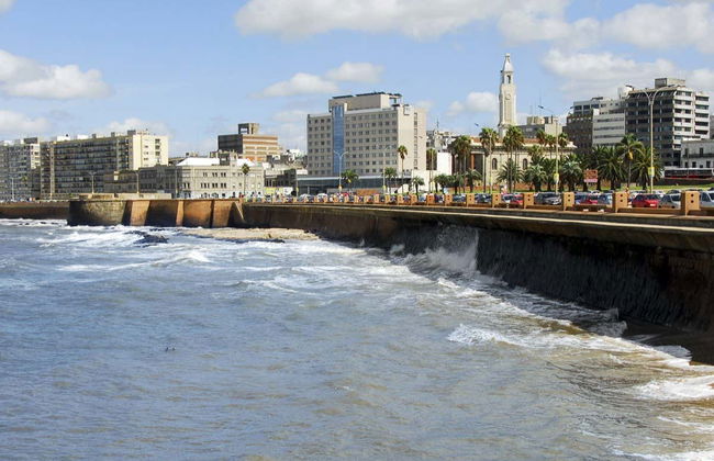 Visite privée dans Montevideo - Photo 3