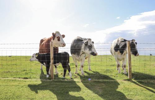 Corsewall Castle Farm Lodges - Foto 49