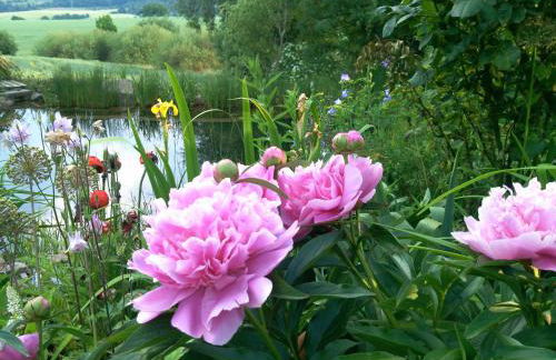 Ferienwohnung Dr. Vera Schmidt - Foto 19