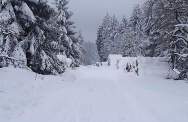 LaDIGo „Kleines Glück“ - Photo 27