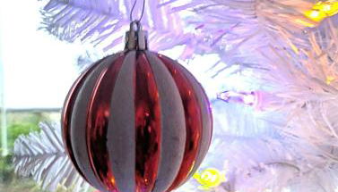 Sq Secret Garden - Foto 5