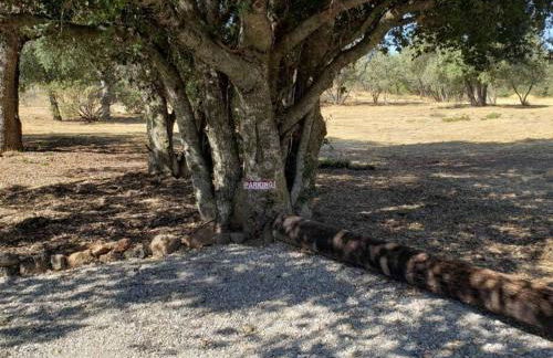 The Couple's Cabin in Wynola 2 NIGHT MINIMUM - Foto 59