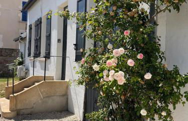 Maison avec terrasse et jardin - Foto 21