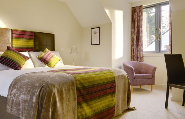 Self Catering Holiday Homes Killarney Town Centre - Foto 10