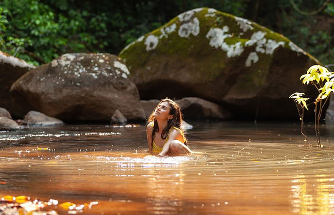The Canopy Rainforest Treehouses and Wildlife Sanctuary - Foto 16