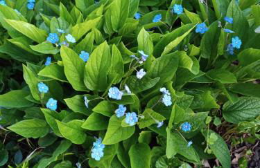 Ferienwohnung Dreher - Foto 14