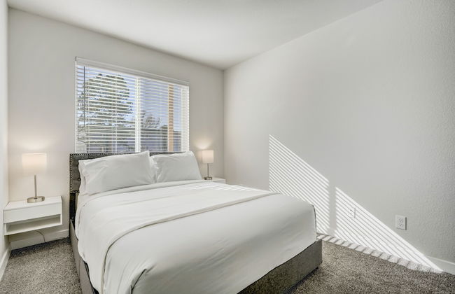 Rising Star - Photo 12