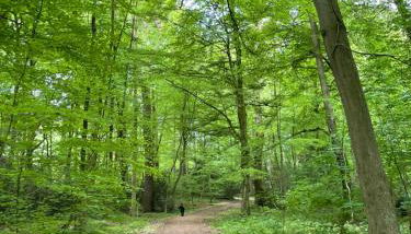 Ferienapartment Am Urwald - Foto 3