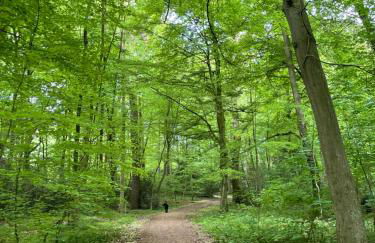 Ferienapartment Am Urwald - Foto 3