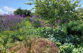 2 Bed in Yoxford oc-hploug - Foto 13