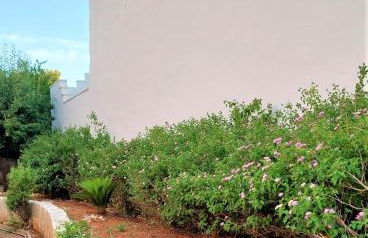 Villa nel Salento - Ampie camere e giardino, fino a 10 persone - Foto 13