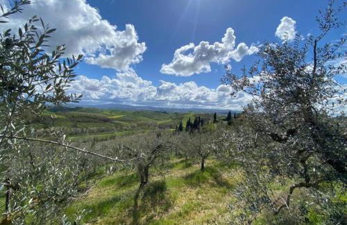 Idyllic Farmhouse in Gambassi Terme-fi With Swimming Pool - Foto 10