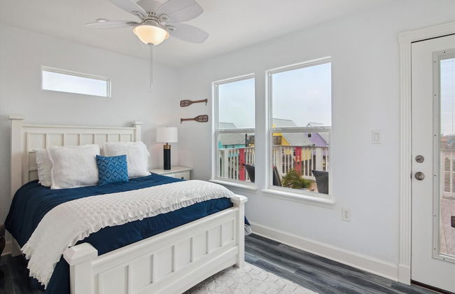 Birds of Paradise - Foto 13