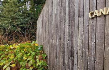 Sete Cidades Lake Lodge - Photo 12