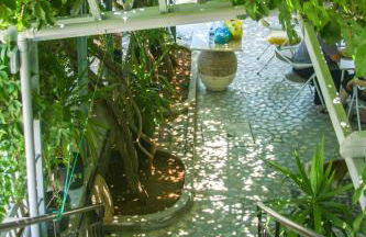 George Apartments - Foto 12