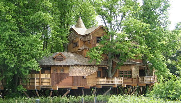 Castelo de Alnwick de 1 dia, Ilha Sagrada e Fronteiras Escocesas - Foto 5, Alnwick Gardens