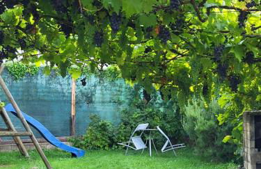 Ahr-Weinbergblick - Foto 76