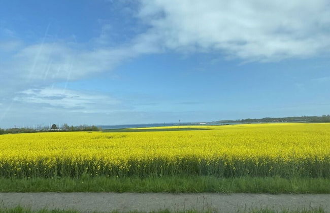 My Baltic Sea Place House by the sea 9 - Foto 17