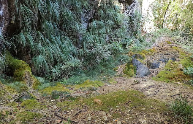 Saecula Natural Village Experience - Foto 66