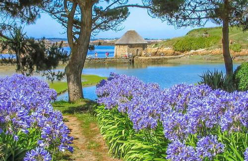 Maison Beniguet 6 places proche Paimpol et Tréguier - Foto 34