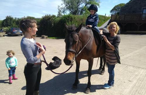 Fentrigan Manor Farm & Holiday Cottages - Foto 61