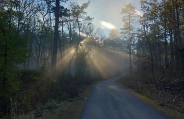 Ferienhaus Käthe - Foto 32