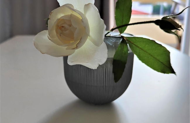 Lefteris Insta-worthy Studio With Garden View - Foto 11