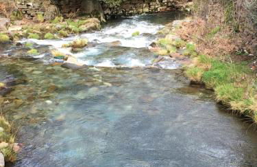 Casa do Volfrâmio - Foto 45