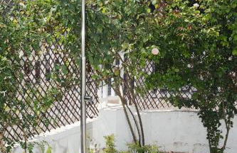 Carrasqueta - Foto 34