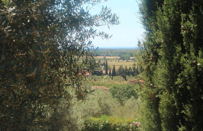 Snug Holiday Home in Castagneto Carducci near Thermal Bath - Foto 36