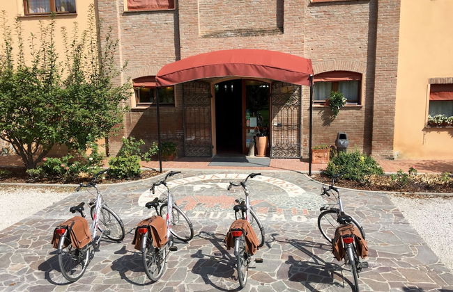 Lama di Valle Rosa - Foto 49