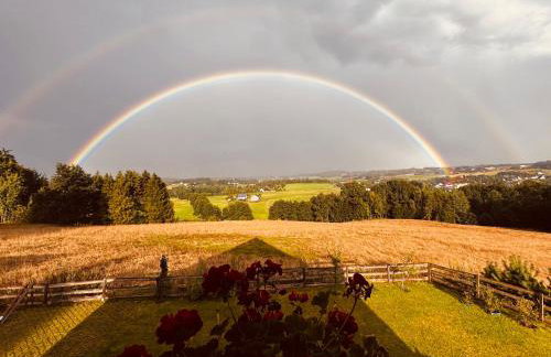 Na Kaszubskim Wzgórzu z sauną i banią - Foto 23