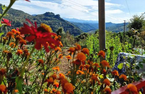 Georgaras Accommodation - Foto 19