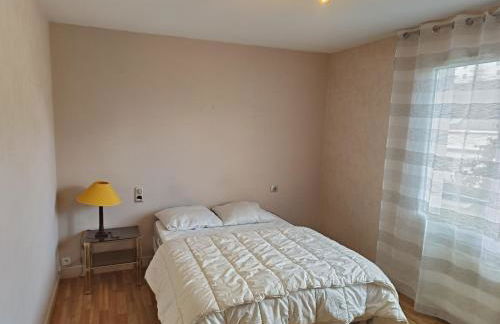 Appartement Berlioz Nantes - Foto 9