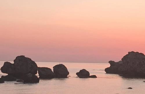 Alba Chiara Licata - Foto 10