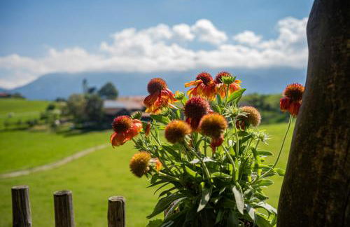 Baumhaus Samerberg - Foto 33