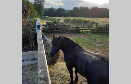 The Loft at Rock Cottage with hot tub - Foto 14