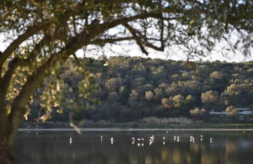 Mamadinas House AlliMpanta - Photo 22