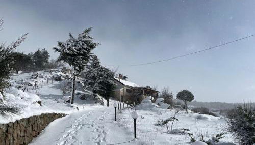 Villa Ohana - Photo 3